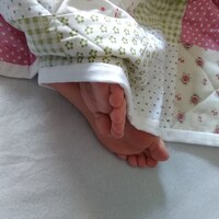 THEQUILTINGSTITCH