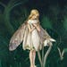 Sleepinginsnowdrops