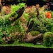 BigKahunaAquatics