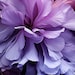 Floralelle