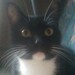 Miss Missy avatar