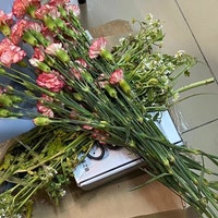 CockatooStudio