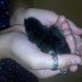 Buyer Avatar