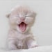 DigitaldesignShop2