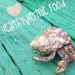 Customhermitcuisine
