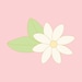 PinkPikakeCo