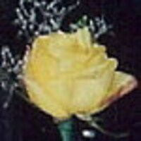 YellowRoseEmporium