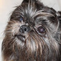 TimelessKreationsDez