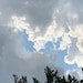 CloudyDayDigitalArt
