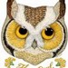 Review author