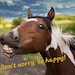 Buyer Avatar