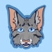 Buyer Avatar
