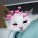 Buyer Avatar