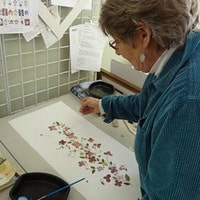 VTPressedFlowers