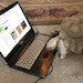 TheLostTurtleShop
