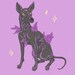 Buyer Avatar
