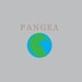 PangeaBags