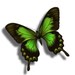 Buyer Avatar