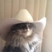 Buyer Avatar
