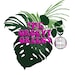 Buyer Avatar