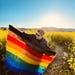 PrideFlagSD