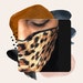 Pretty Face Masks