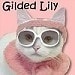 thegildedlily avatar