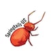 Springtails US