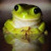User photo