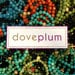 doveplum