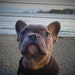 Jude of HeyJudeCollection avatar