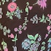 BetseyCollector