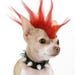 Buyer Avatar
