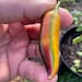 CaribbeanSpiceCo