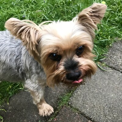 profile photo
