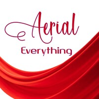 aerialeverything
