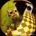 Buyer Avatar