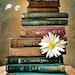 RarePdfbookstorre