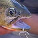 FunnyFishingGear