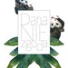 Daria Niezgoda avatar