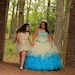 Buyer Avatar