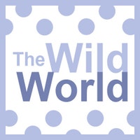 TheWildWorld