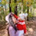 Buyer Avatar