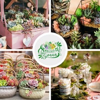 Acehorticulturalinks