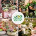 Acehorticulturalinks