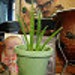 Buyer Avatar