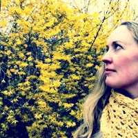 TheIrishDaisy