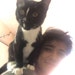 Buyer Avatar