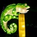 Buyer Avatar