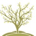 Design Verses avatar